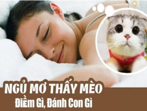 Giải Mã Những Con Số Liên Quan Đến Giấc Mơ Về Mèo