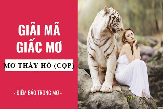 Ý nghĩa giấc mơ thấy hổ trong văn hóa dân gian